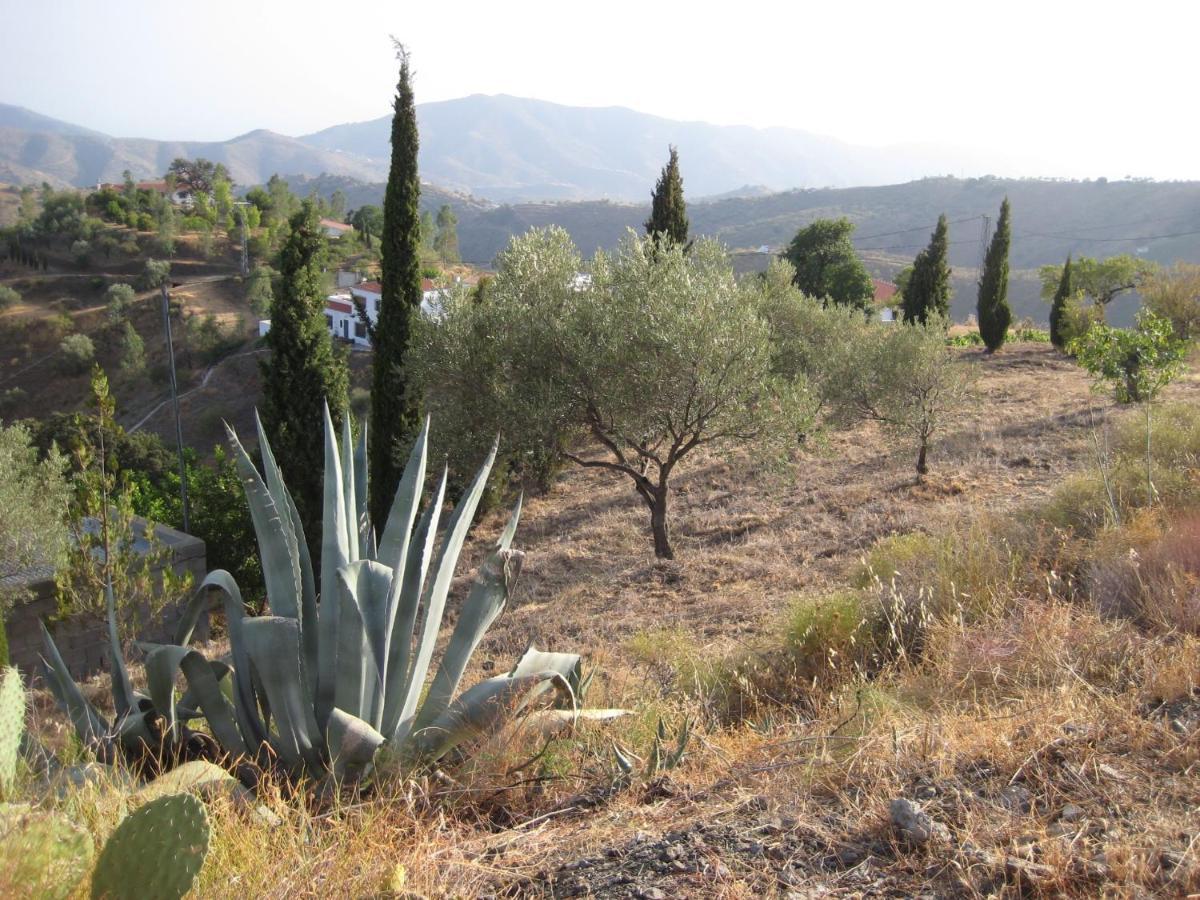 Casa Siete Arcos Villa Sedella Luaran gambar
